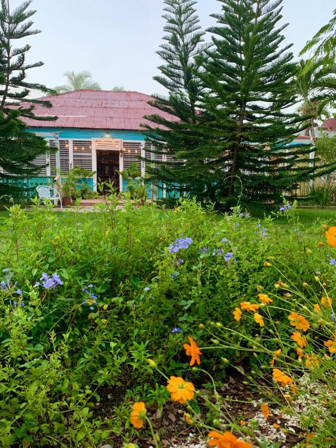 Campito Loving Bed and Breakfast Higuey Eksteriør billede